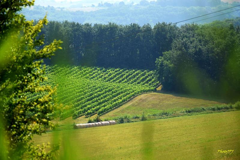 Domaine de Bilé